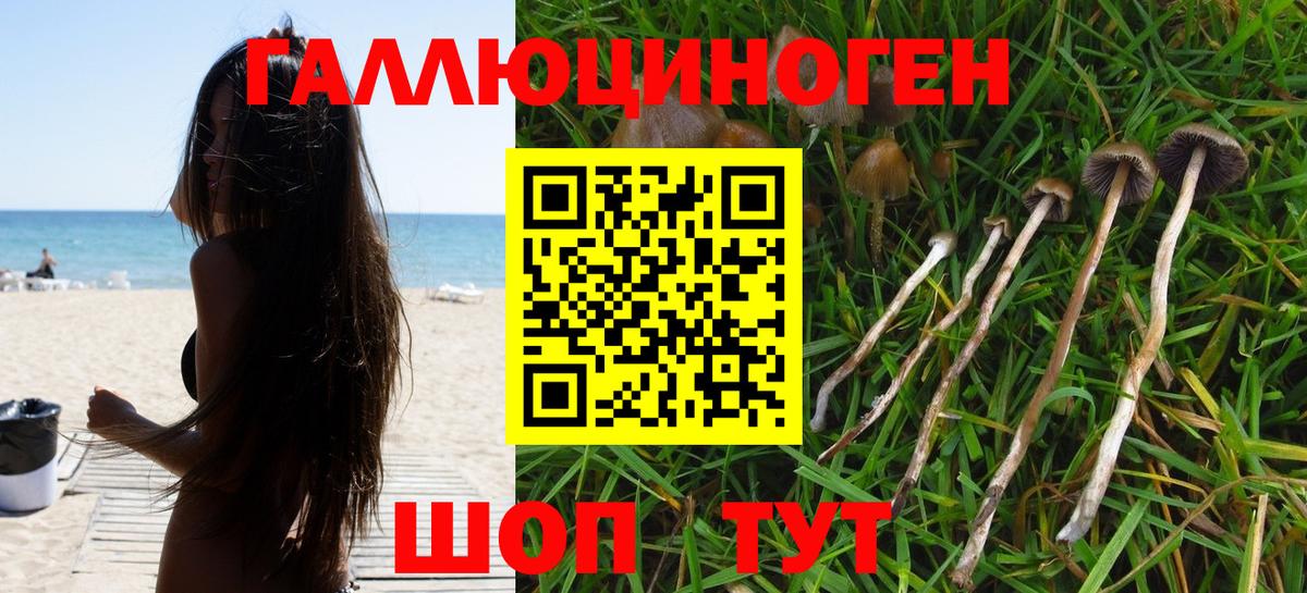 Лянтор  Псилоцибиновые грибы мухоморы  Вход с VPN 